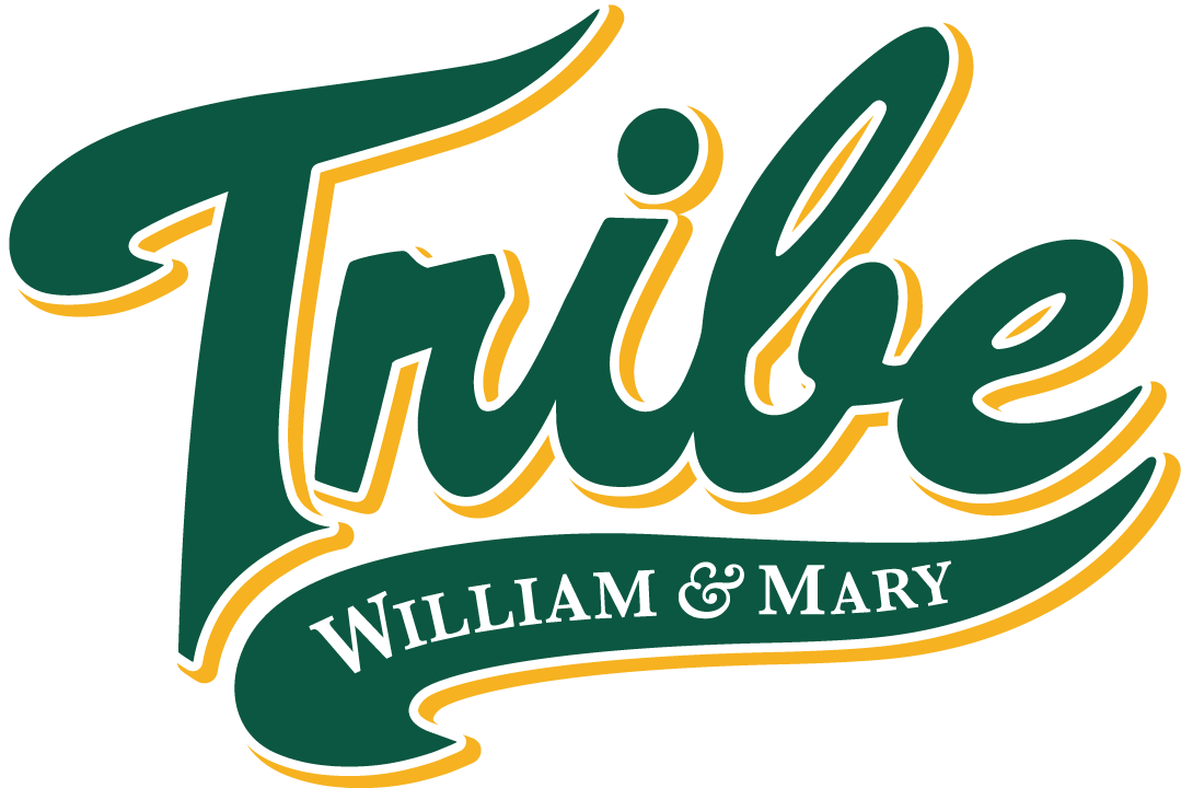 William and Mary Tribe 2016-2017 Primary Logo DIY iron on transfer (heat transfer)